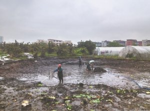太康河道鱼塘清淤
